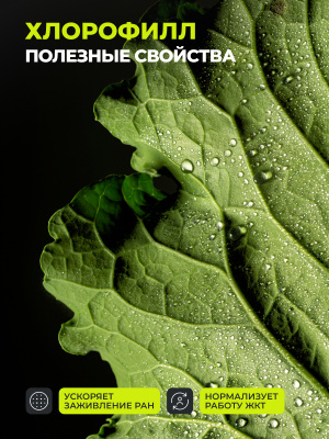 1WIN / Хлорофилл, 500 мл