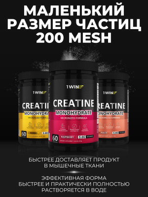 1WIN / Креатин моногидрат. Вкус Малина, 400 гр. 60 порций.