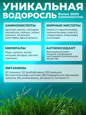 1WIN / Спирулина в таблетках, детокс для похудения, Spirulina суперфуд, 100 грамм