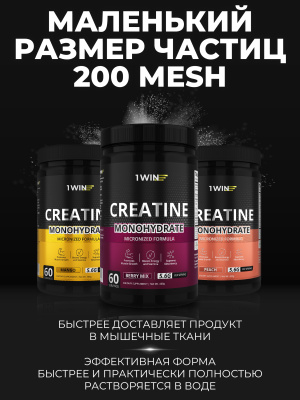 1WIN / Креатин моногидрат. Вкус Ягодный микс, Банка 400 гр. 60 